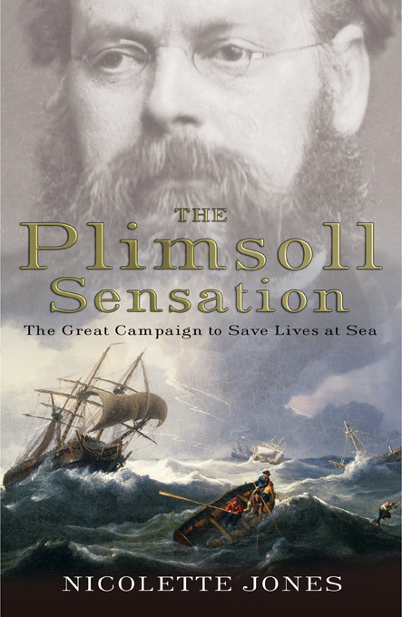 Cover of The Plimsoll Sensation
